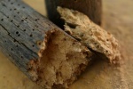 Bois ab&icirc;m&eacute; ou d&eacute;form&eacute;, un signe fr&eacute;quent qui impose une r&eacute;novation de charpente &agrave; Ch&acirc;teaudun