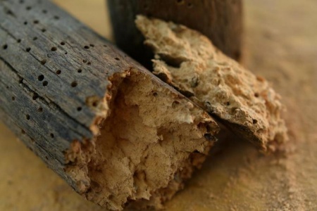 Bois ab&icirc;m&eacute; ou d&eacute;form&eacute;, un signe fr&eacute;quent qui impose une r&eacute;novation de charpente &agrave; Ch&acirc;teaudun